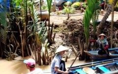 Volunteer in Vietnam with IVHQ - #1 Rated Projects & Lowest Fees