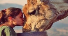girl kissing a giraffe