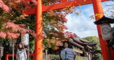 people wearing coats walking near shrine and trees with red leaves
