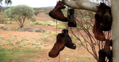 Boots handing on a tree in the Outback