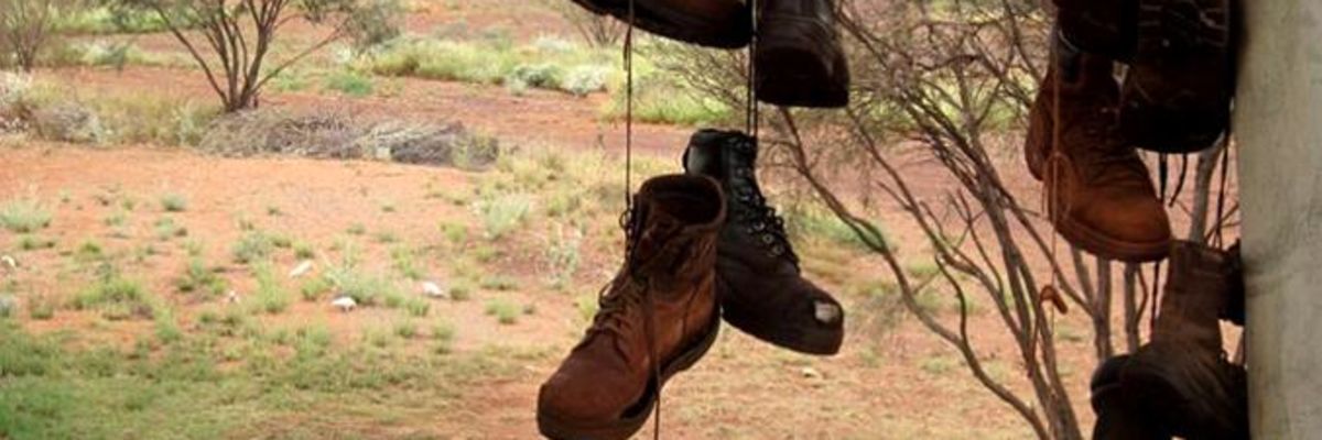 Boots handing on a tree in the Outback