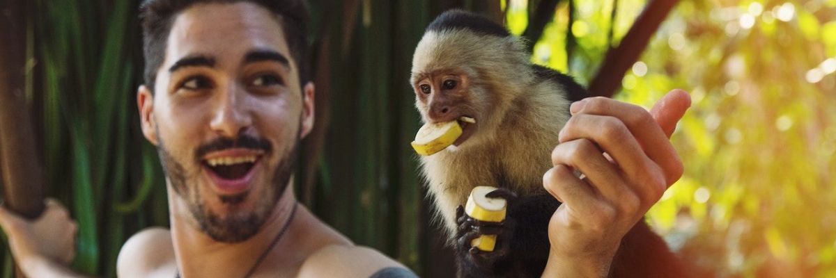 monkey eating fruit sitting on a man’s shoulder