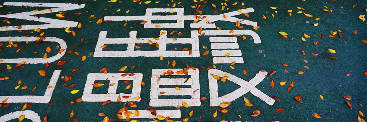 pavement and road signs in japanese characters
