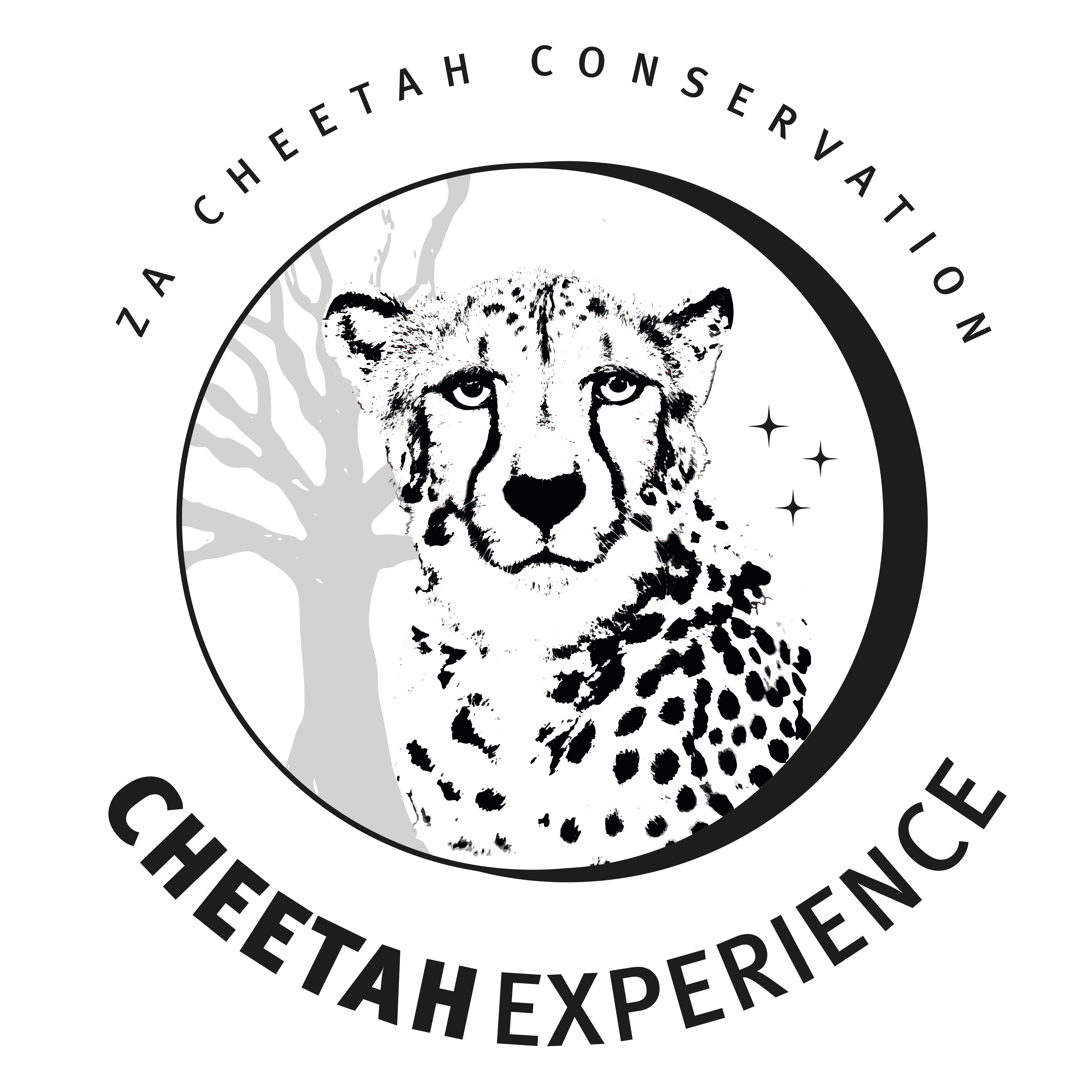 ZA Cheetah Conservation / Cheetah Experience