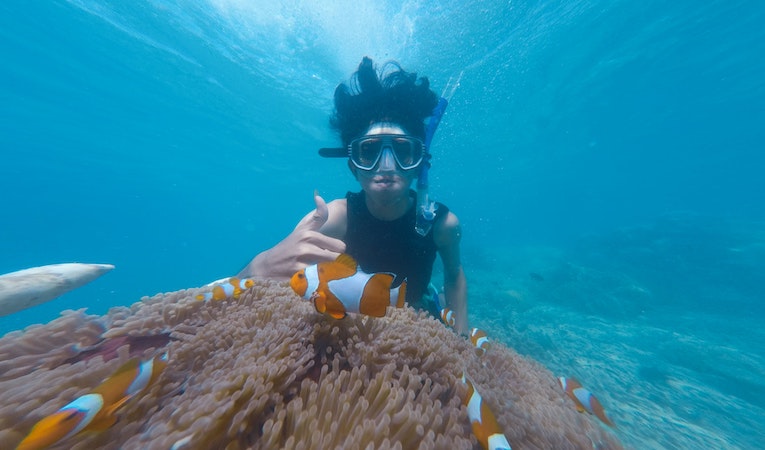 person snorkeling with clown fish
