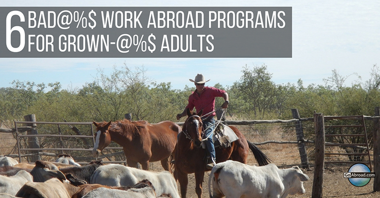 Paid work abroad programs for adults