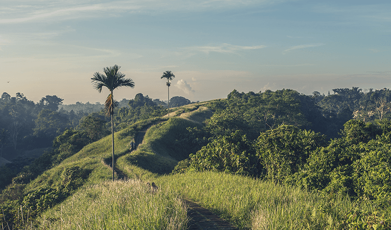 walking along the hills in Bali, Indonesia