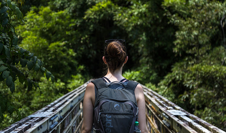 volunteer with backpack walking across bridge in forest/jungle