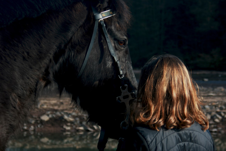 back of person standing beside black horse