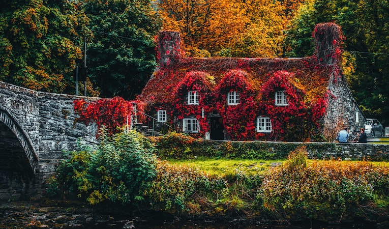 Colorful leaves covering stone house