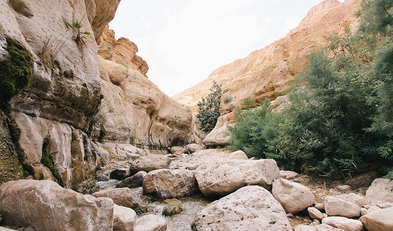 Ein Gedi, Israel, desert boulders