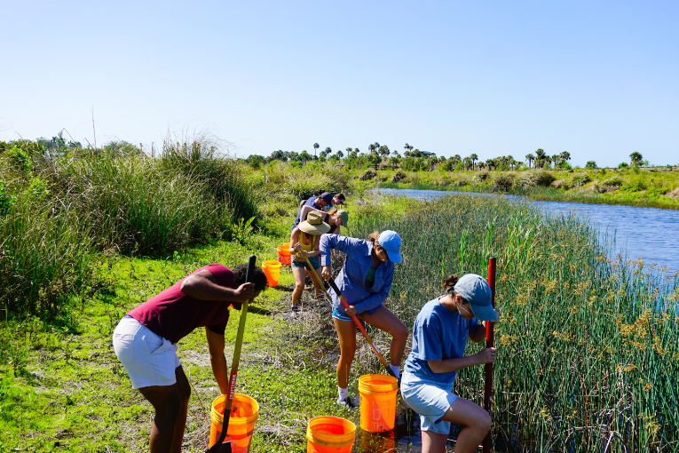 group of people near body of water and green plants with buckets and shovels