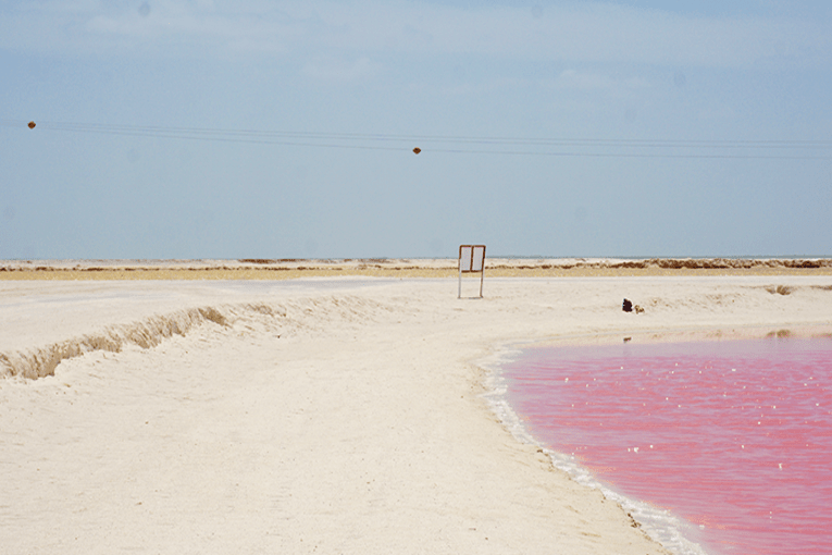 pink lake in Senegal