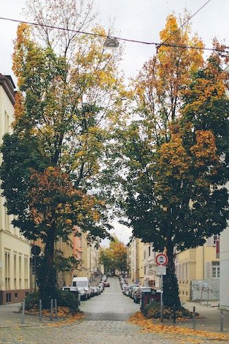 how-to-become-an-english-teacher-in-germany-goabroad