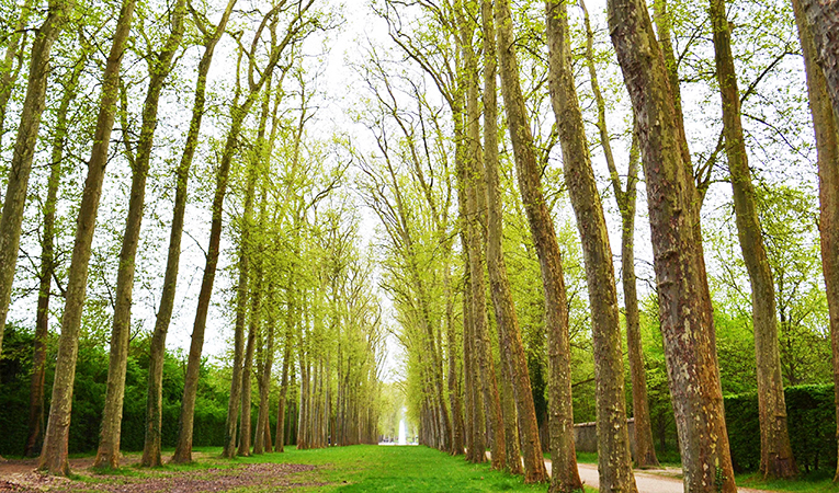 Versailles, France