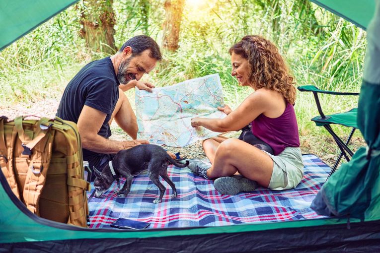 couple using a map