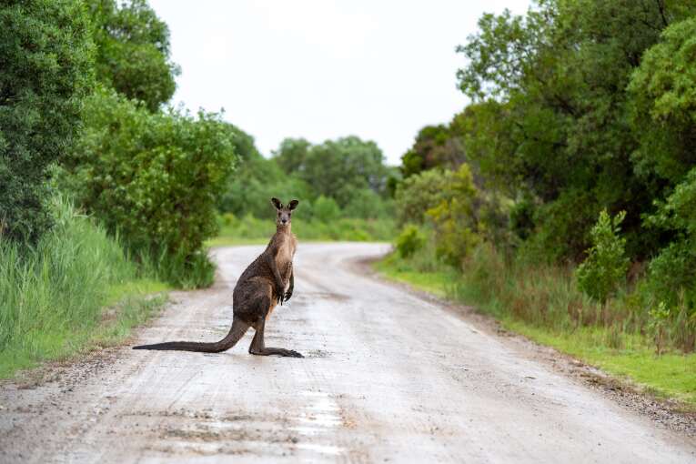 How To Get An Internship In Australia | GoAbroad.com