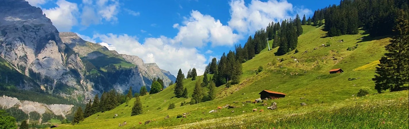 How To Teach English In Switzerland GoAbroad how-to-teach-english-in-switzerland-goabroad